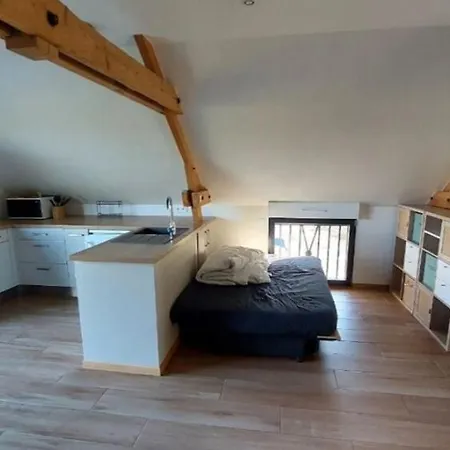 Maison De 50m2 A La Campagne Apartment Pirmil